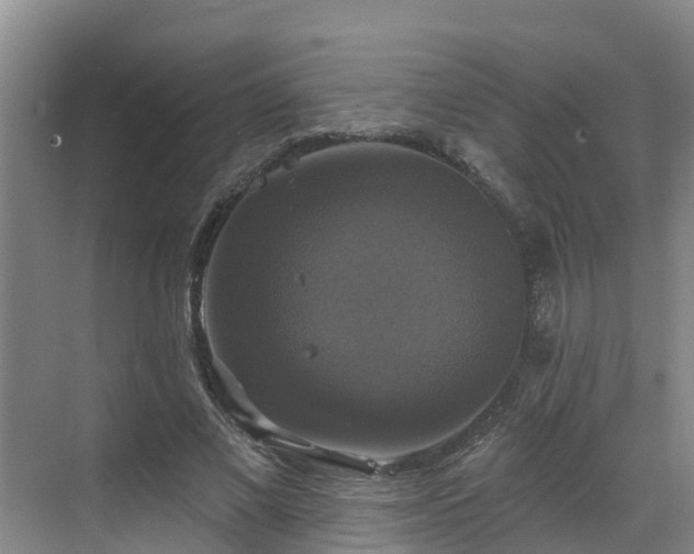 X0000068840685200605081240