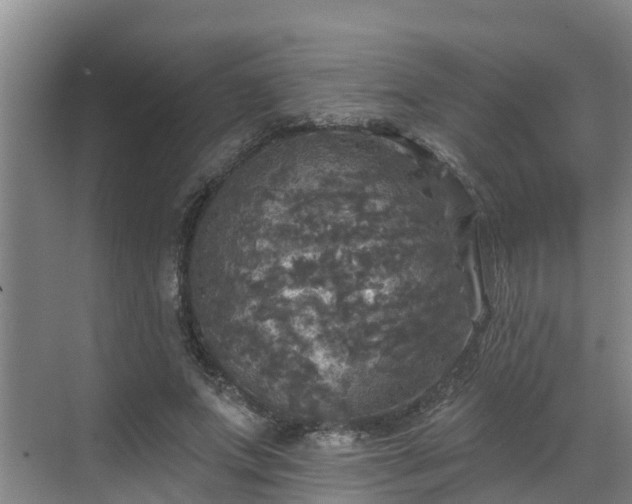 X0000068840687200605081240