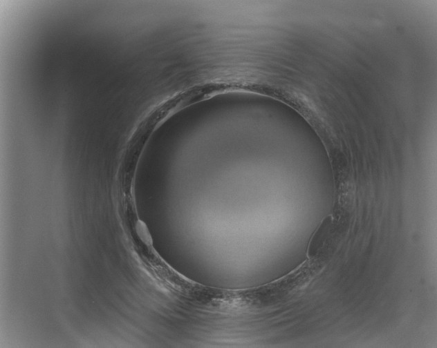 X0000068840688200605081240