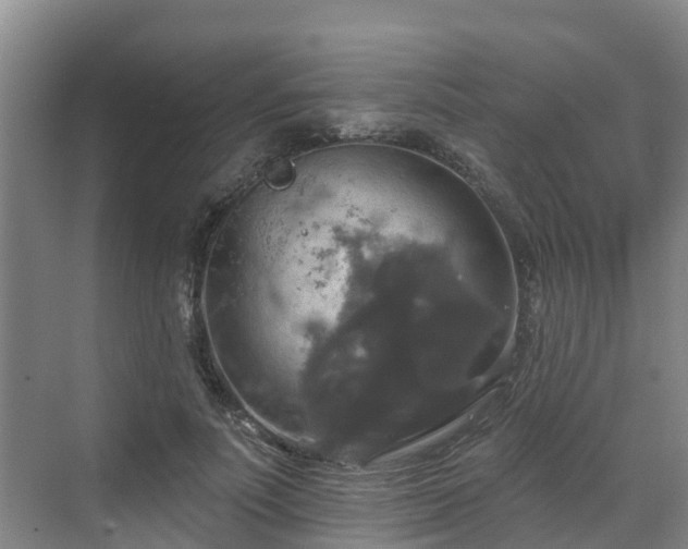 X0000068840691200605081240