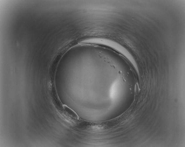 X0000068840692200605081240