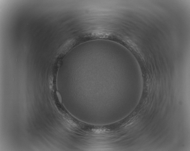 X0000068840693200605081240