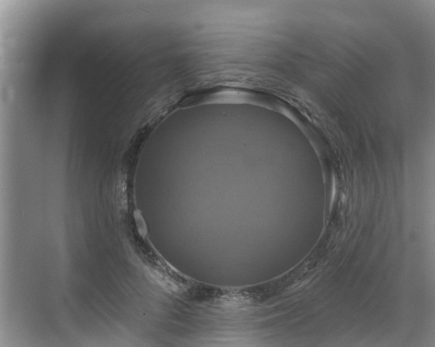 X0000068840696200605081239