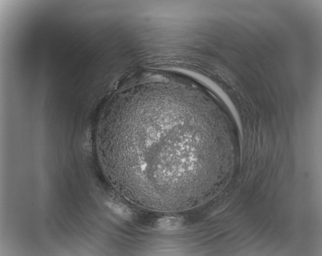 X0000068840700200605081239