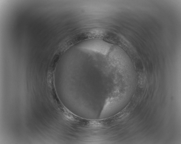 X0000068840701200605081239