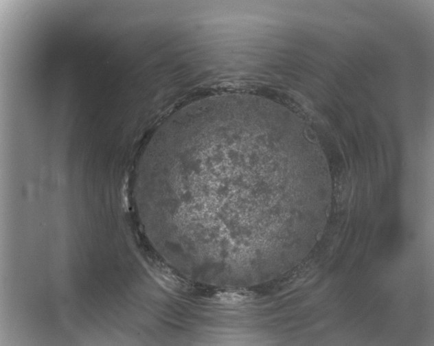 X0000068840703200605081239