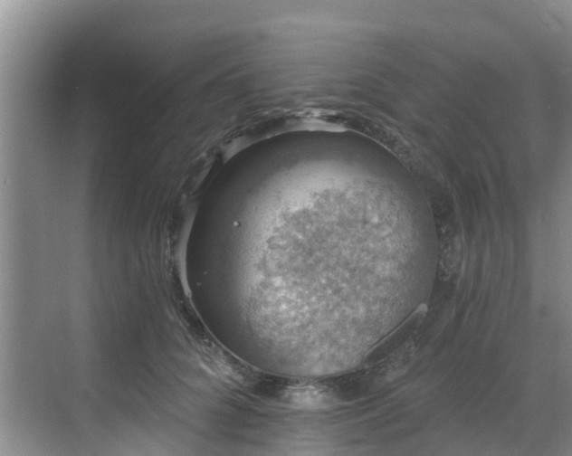 X0000068840704200605081239