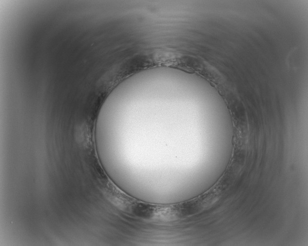 X0000068840705200605081239