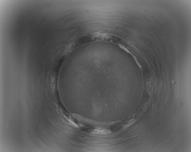 X0000068840708200605081239