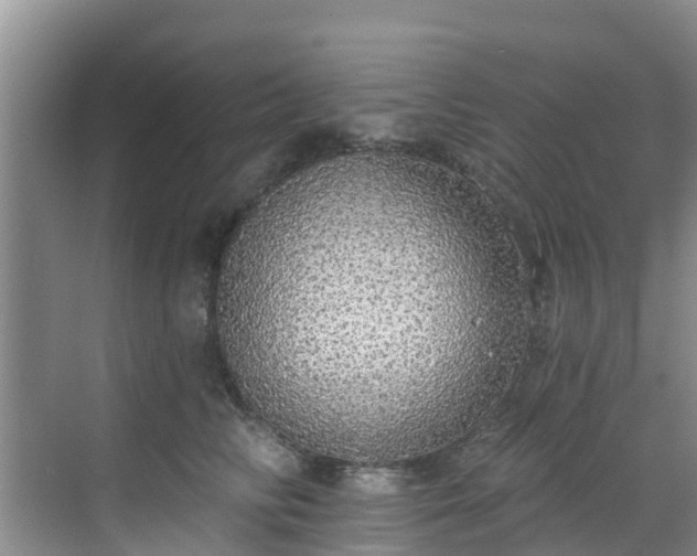 X0000068840710200605081239