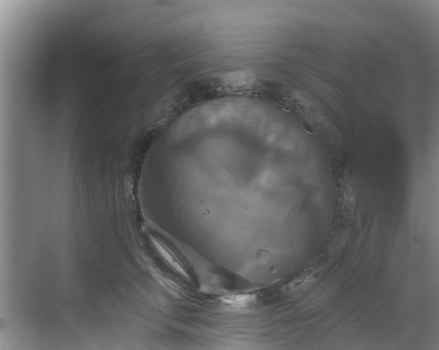 X0000068840711200605081239