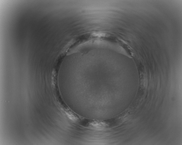 X0000068840712200605081239