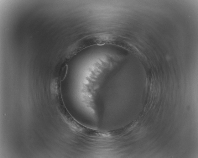 X0000068840715200605081239