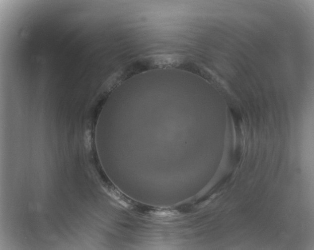 X0000068840716200605081239