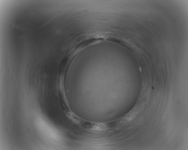 X0000068840720200605081239