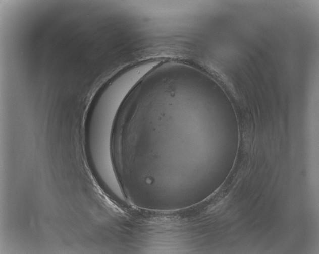 X0000068840721200605081238