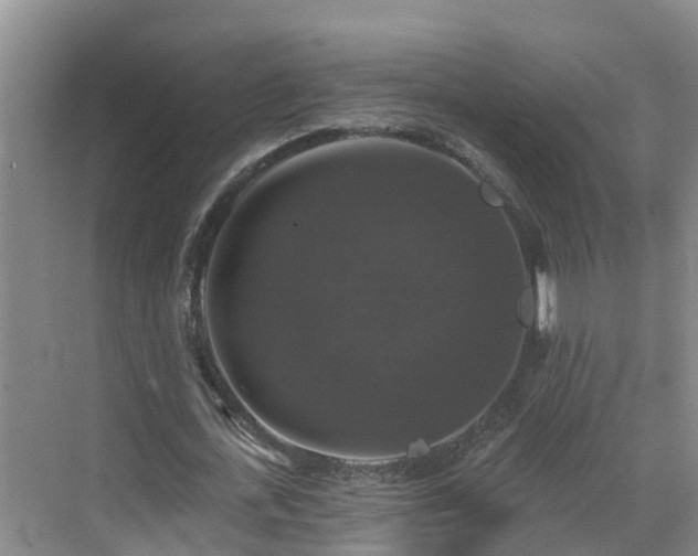 X0000068840723200605081238