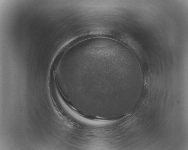 X0000068840724200605081238