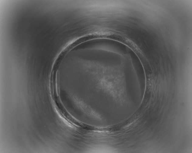 X0000068840726200605081238