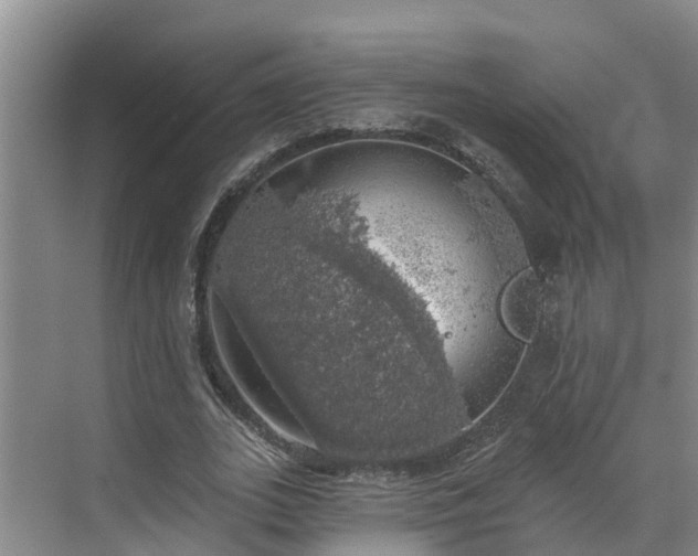 X0000068840727200605081238