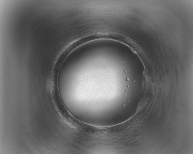 X0000068840728200605081238