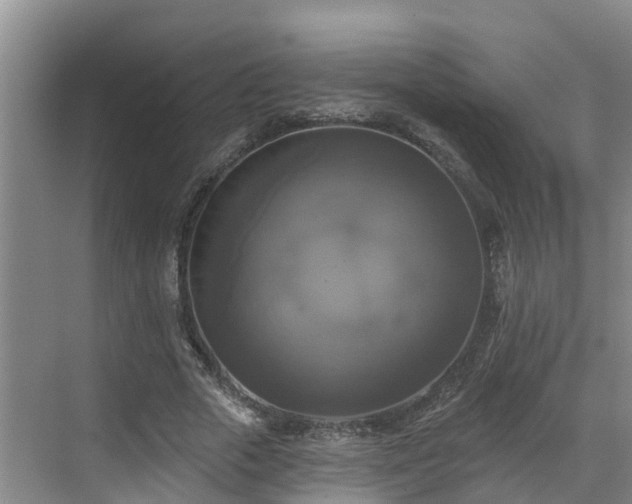 X0000068840729200605081238