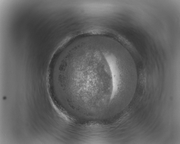 X0000068840730200605081238