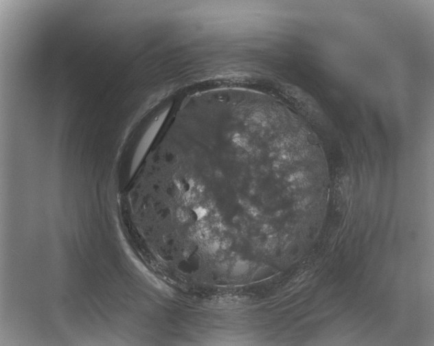 X0000068840734200605081238