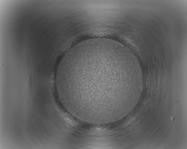 X0000068840737200605081239