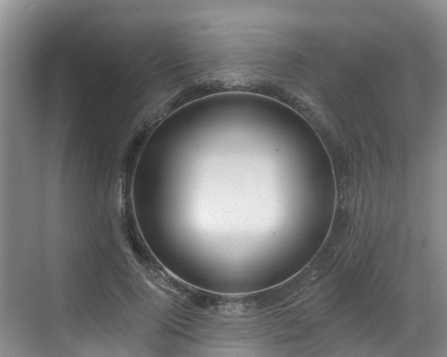 X0000068840740200605081239