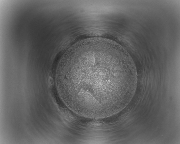 X0000068840743200605081239