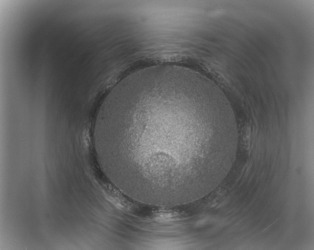 X0000068840746200605081239