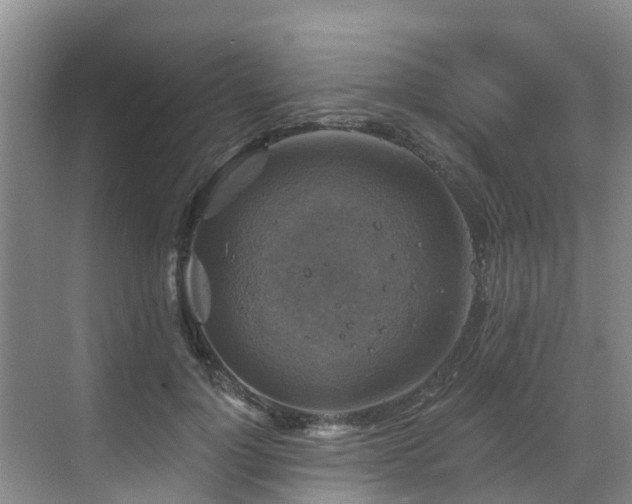 X0000068840748200605081239