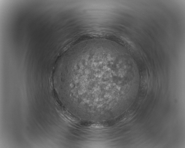 X0000068840749200605081239