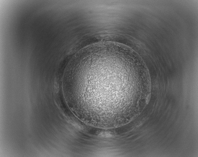 X0000068840751200605081239