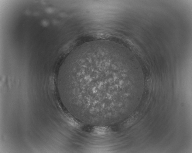 X0000068840757200605081239