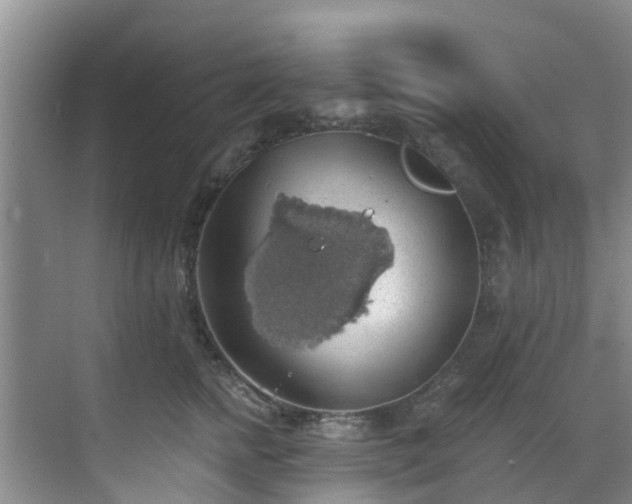 X0000068840758200605081239