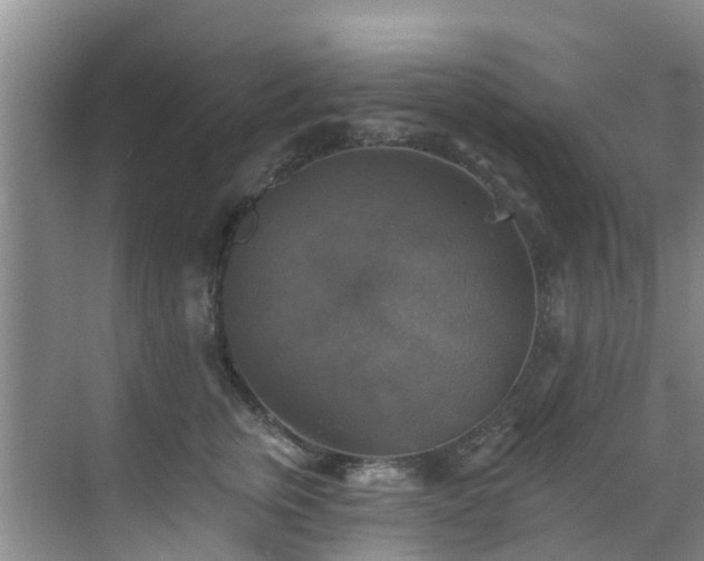 X0000068840759200605081239