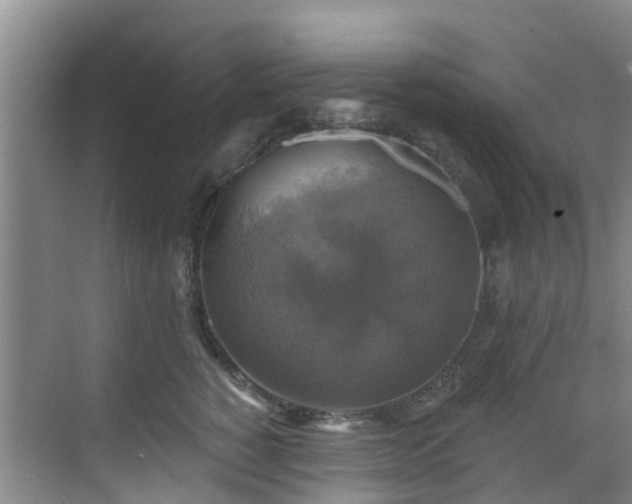 X0000068840760200605081239