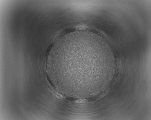 X0000068840761200605081239