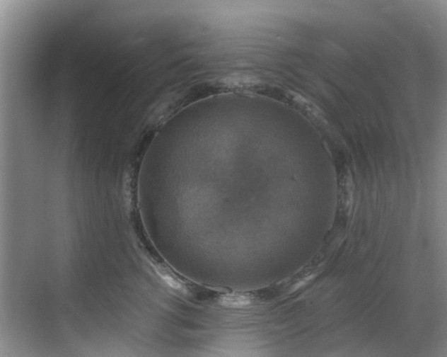 X0000068840762200605081239