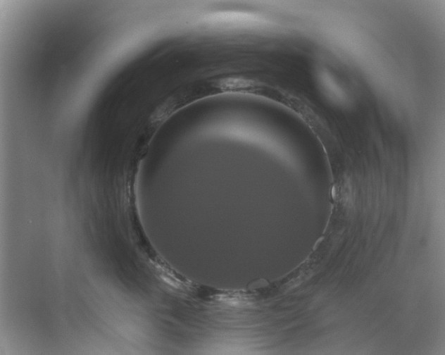 X0000068840763200605081239