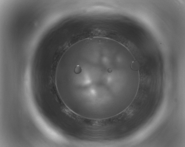 X0000068840765200605081239