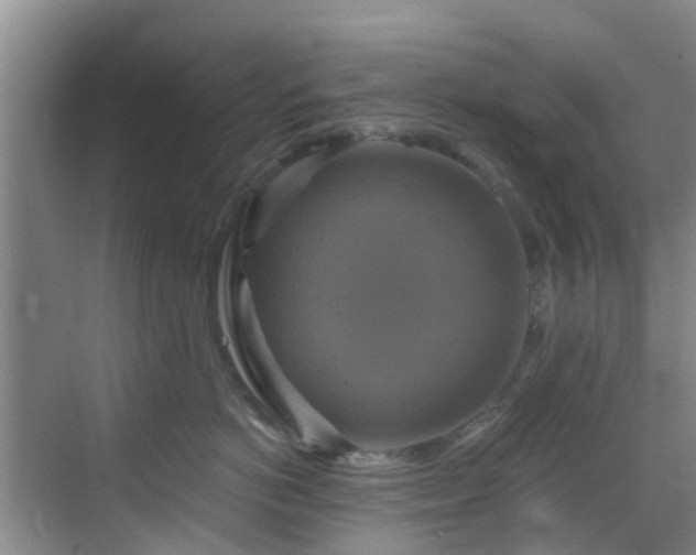 X0000068840766200605081239