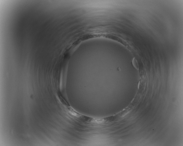 X0000068840767200605081239