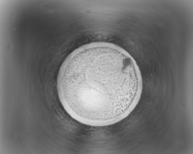 X0000068840769200605081238