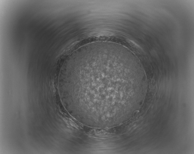 X0000068840774200605081238