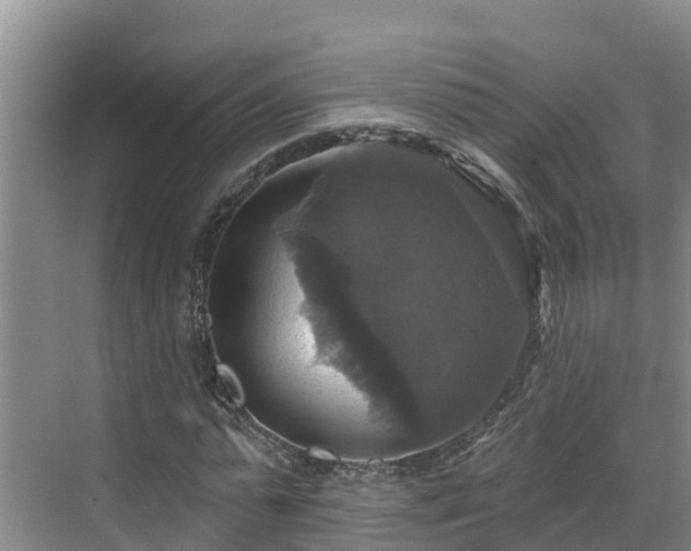 X0000068840775200605081238