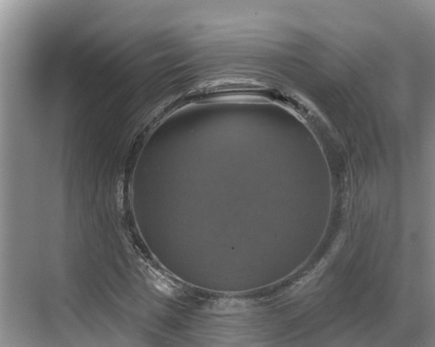 X0000068840777200605081238