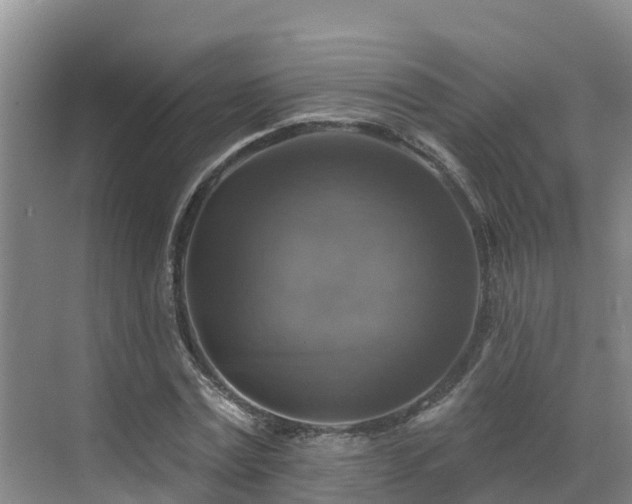 X0000068840779200605081238